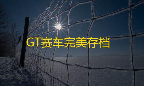 抖音粉丝不掉粉在线下单GT赛车完美存档